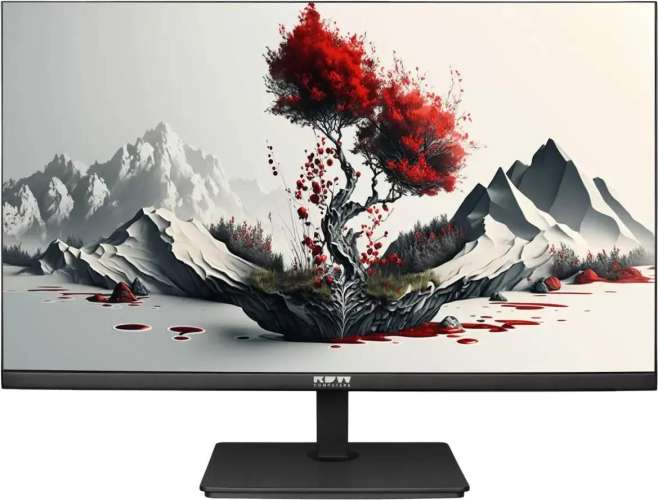 23.8" Монитор RDW COMPUTERS RDW2401K,  "R", 2560x1440,  IPS,  75Гц,  1хHDMI,  1хDP,  черный [rdw2401k/q00b0]